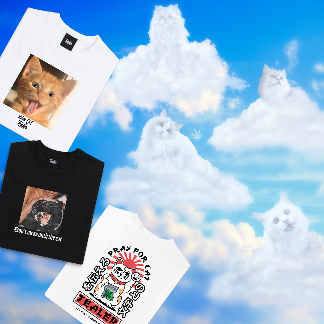 Cats lover